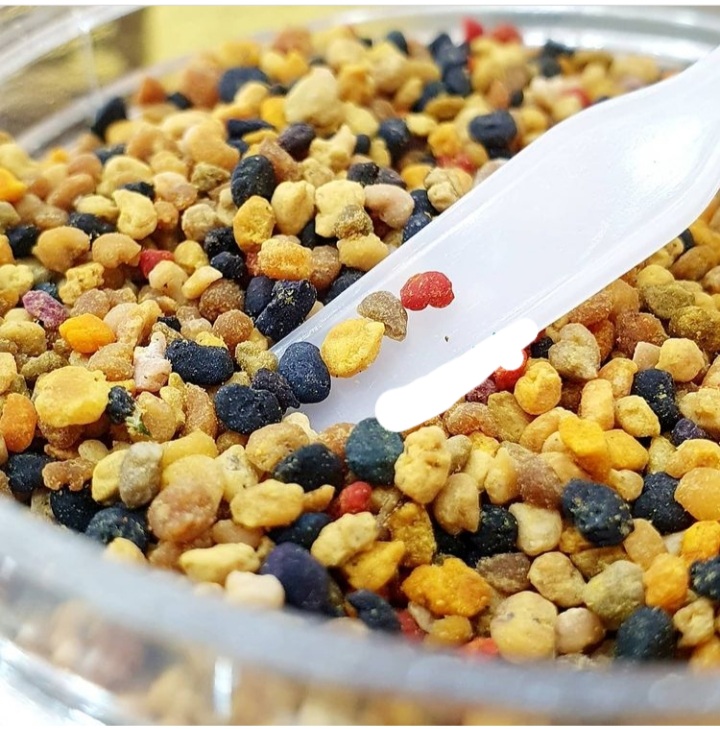 گرده گل کوهی خالص  سوپر‌فود طبیعی برای سلامتی و انرژی